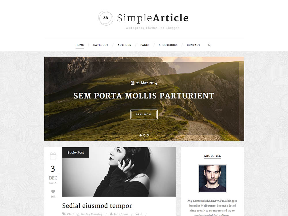 Simple_Article - Best WordPress Blog Themes