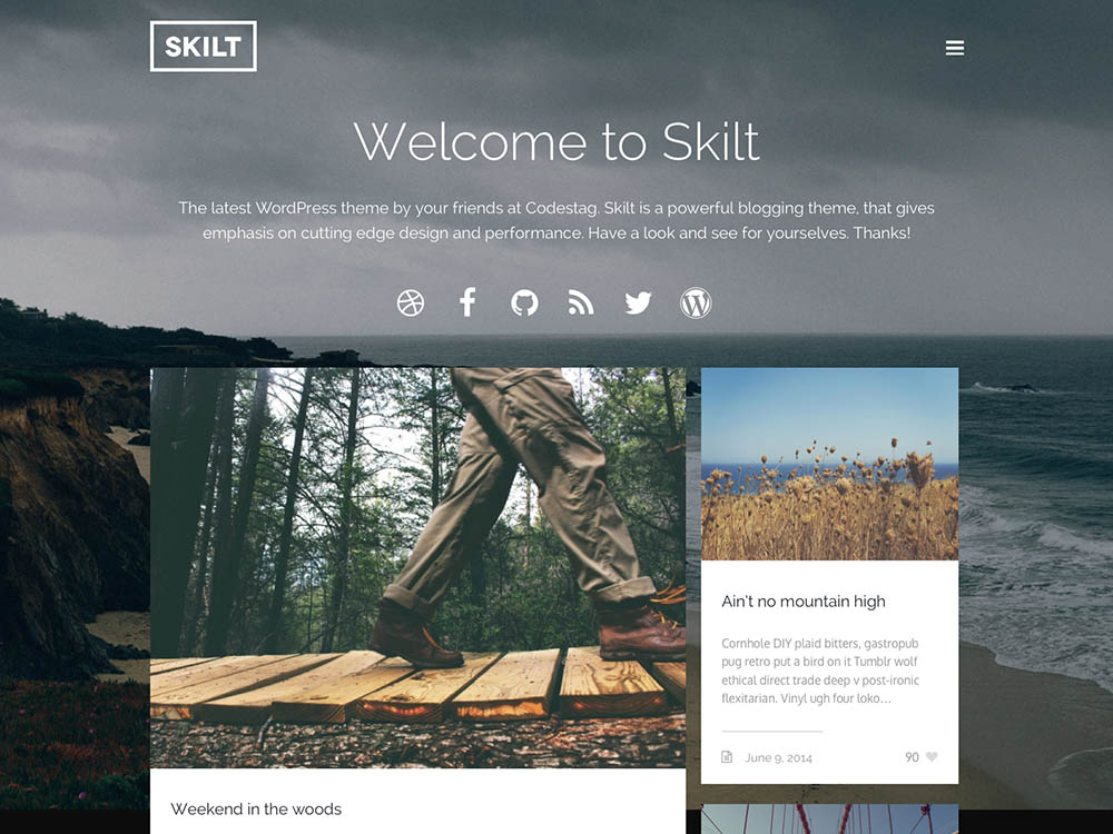 Skilt - Best WordPress Blog Themes