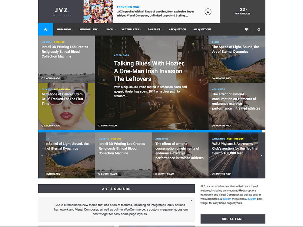 Jaz - Best WordPress Magazine Themes