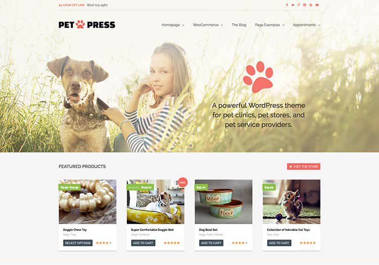 Our favorite pet store theme for WordPress