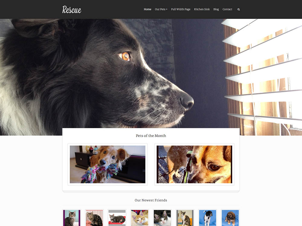 Rescue_An_Animal_Shelter_Theme_-_2014-10-22_18.17.14