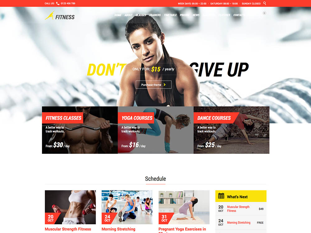 Fitness Theme - Best WordPress Gym and Fitness Themes