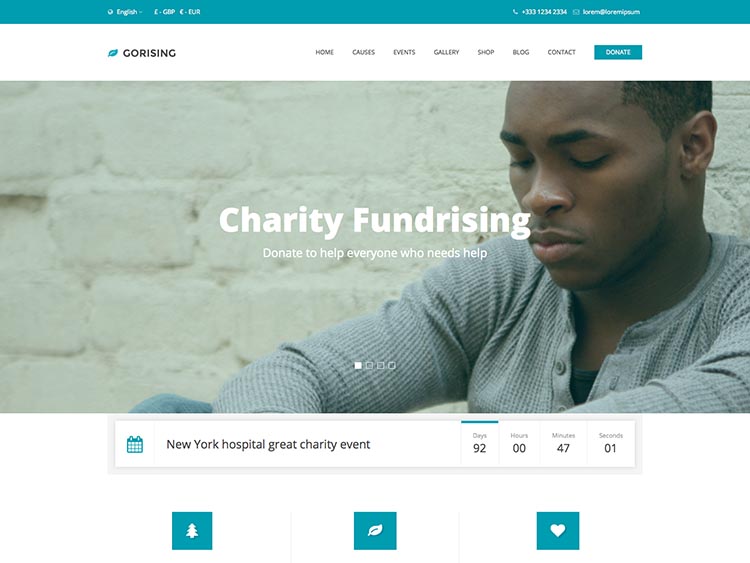 GoRising - Best WordPress Fundraising and Charity Themes for 2014