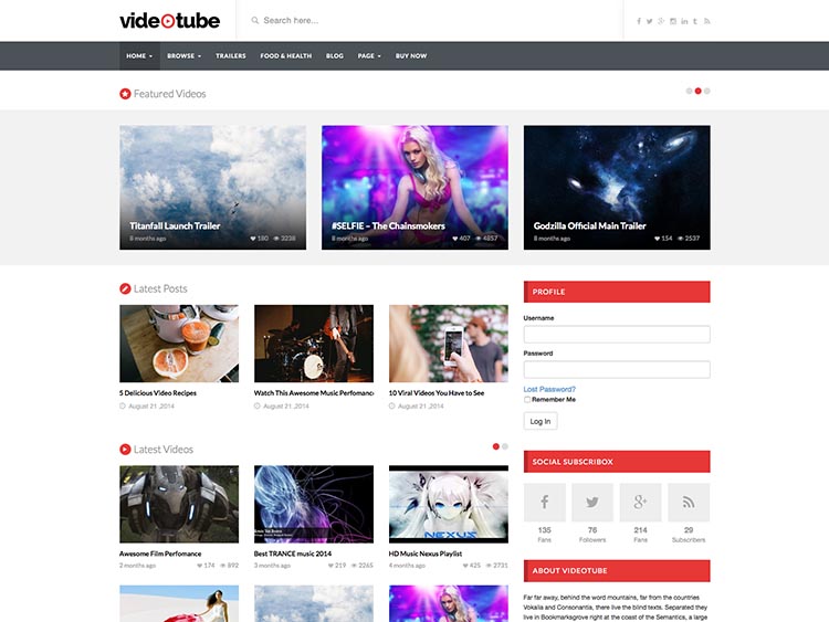 VideoTube - Best WordPress Video Sharing Themes