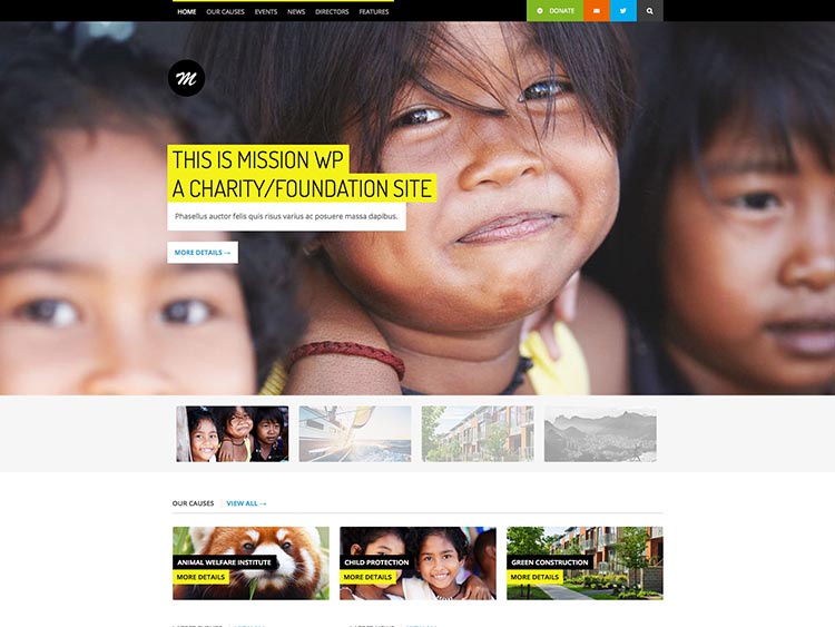 Mission - Best WordPress Nonprofit Themes for 2014