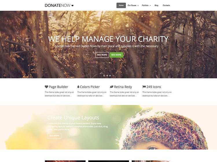 DonateNow - Best WordPress Donation Themes for 2014