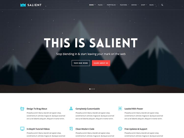 Salient - Best Selling WordPress Themes