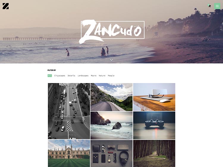 Zancudo Moible & Retina-ready WordPress Photography Theme