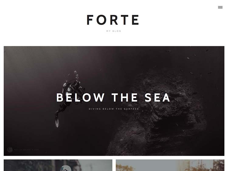 Forte I Premium WordPress Theme for Writers