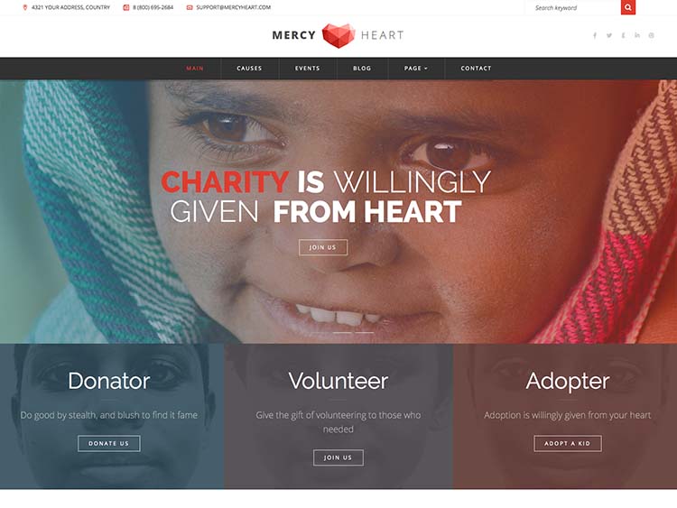 An excellent charity theme for WordPress