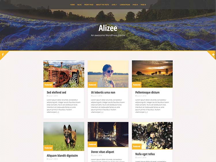 Alizee | An awesome WordPress theme 2015-09-14 17-26-17