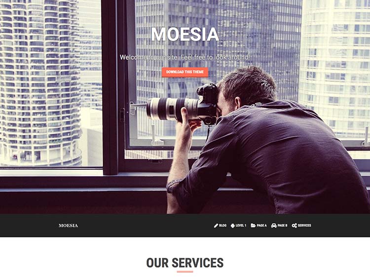Moesia | An awesome WordPress theme 2015-09-15 18-42-04