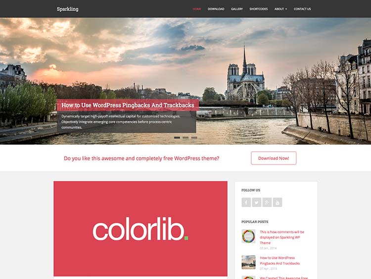 Sparkling - Free flat design WordPress theme developed using Bootstrap 3 and is well suited for blogs, portfolio, design, photography and other creative websites 2015-09-14 17-31-40_1