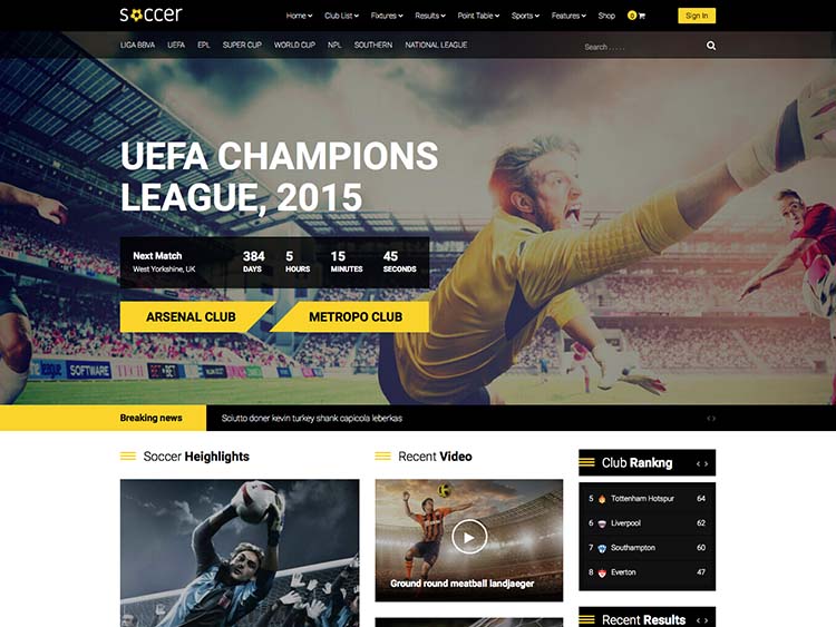 Best team and sports club theme for WordPress