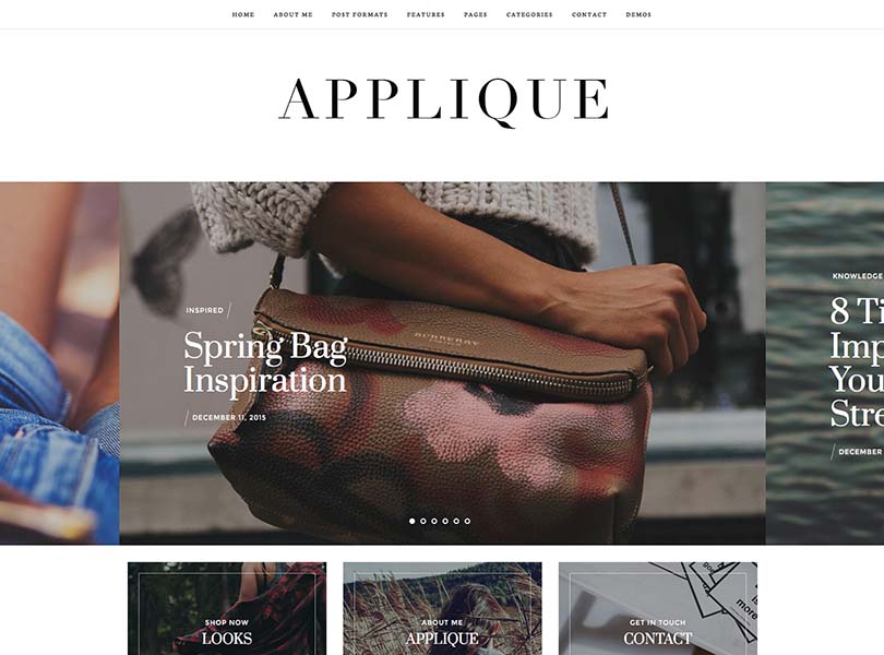 Applique Fashion Blog Theme