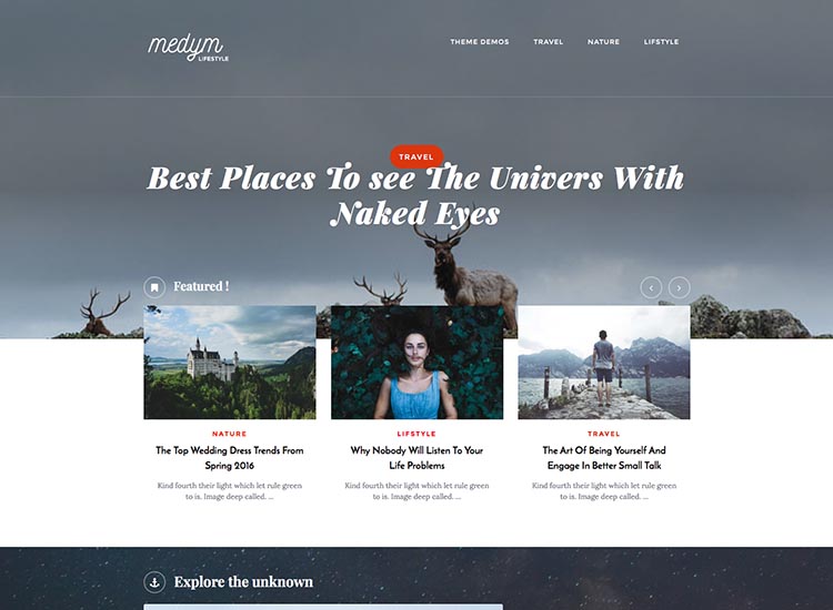 Medym Travel Blog Theme for WordPress